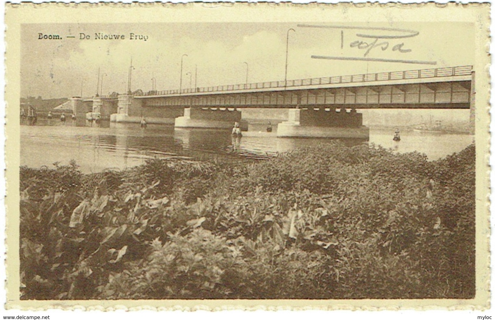 Boom. De Nieuwe Brug. - Boom