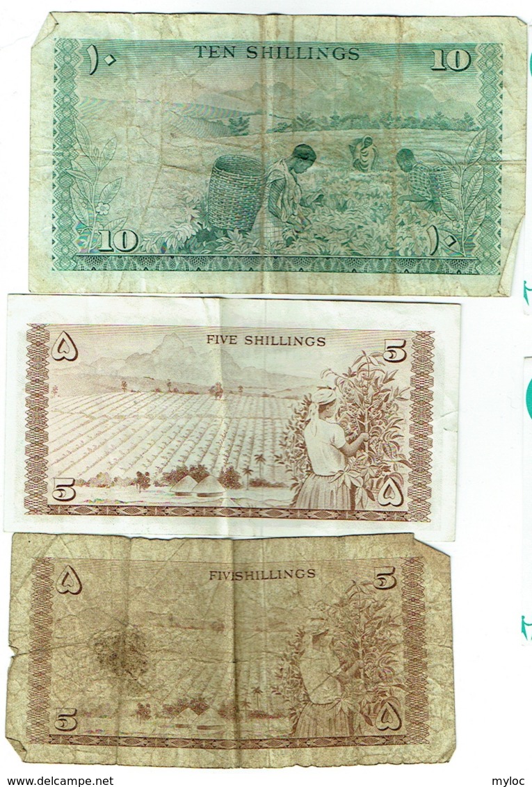 Billet. Kenya. Lot De 3 Billets. 2 X 5 Et 1 X 10 Shillings. 1-7-1966. - Kenya