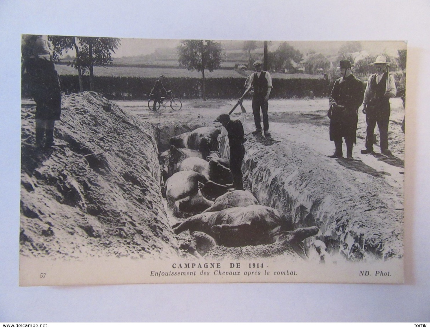 Guerre 14-18 - Campagne De 1914 - Enfouissement Des Chevaux Après Le Combat - Carte Animée, Non-circulée - Guerre 1914-18