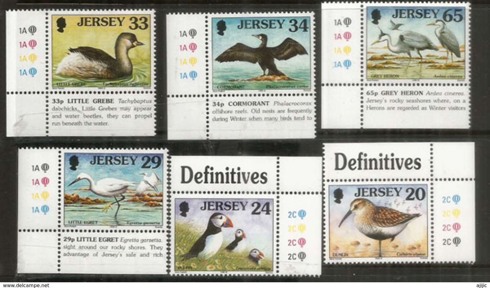 ILE JERSEY  Echassiers Marins.   6 Timbres Neufs ** Avec Vignettes Attenantes - Other & Unclassified