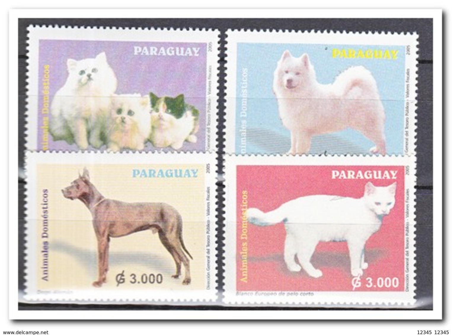 Paraguay 2005, Postfris MNH, Cats, Dogs - Paraguay