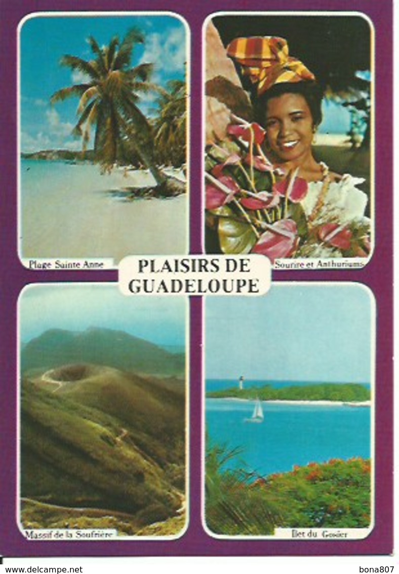 Plaisir En Guadeloupe - Saint Martin