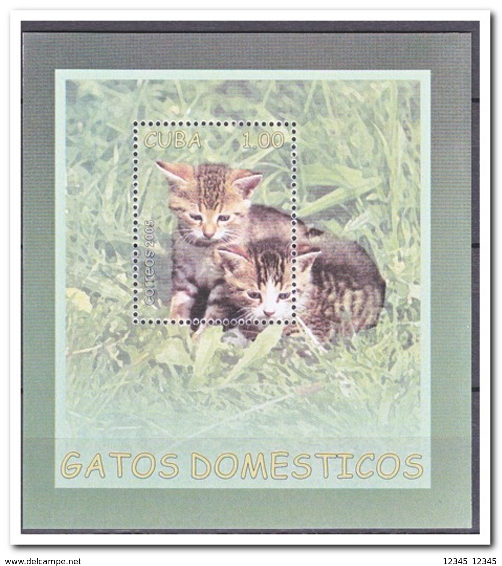 Cuba 2005, Postfris MNH, Cats - Ongebruikt