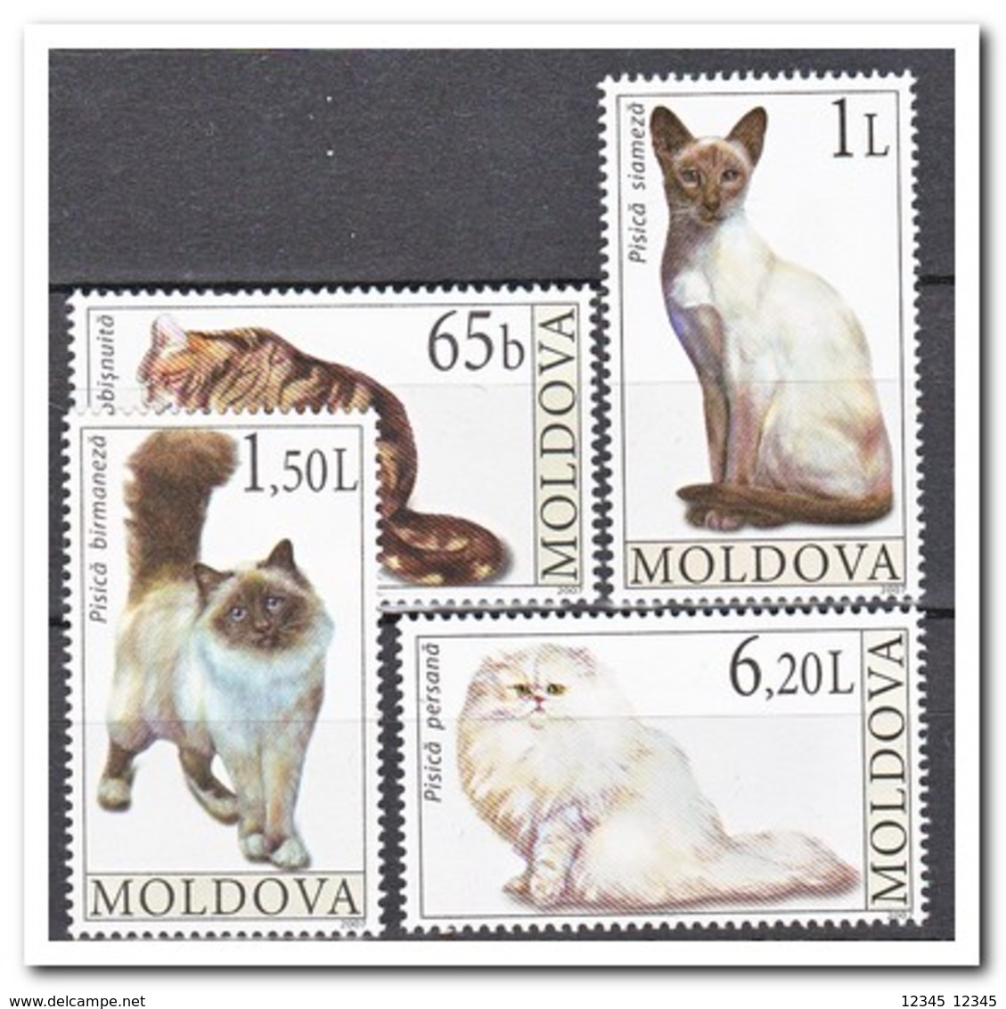 Moldavië 2007, Postfris MNH, Cats - Moldavië