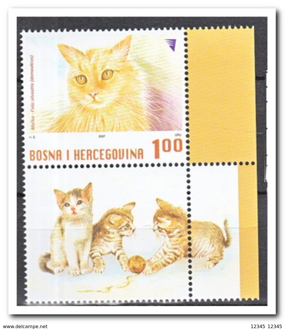 Bosnië & Herzegovina 2007, Postfris MNH, Cats - Bosnië En Herzegovina