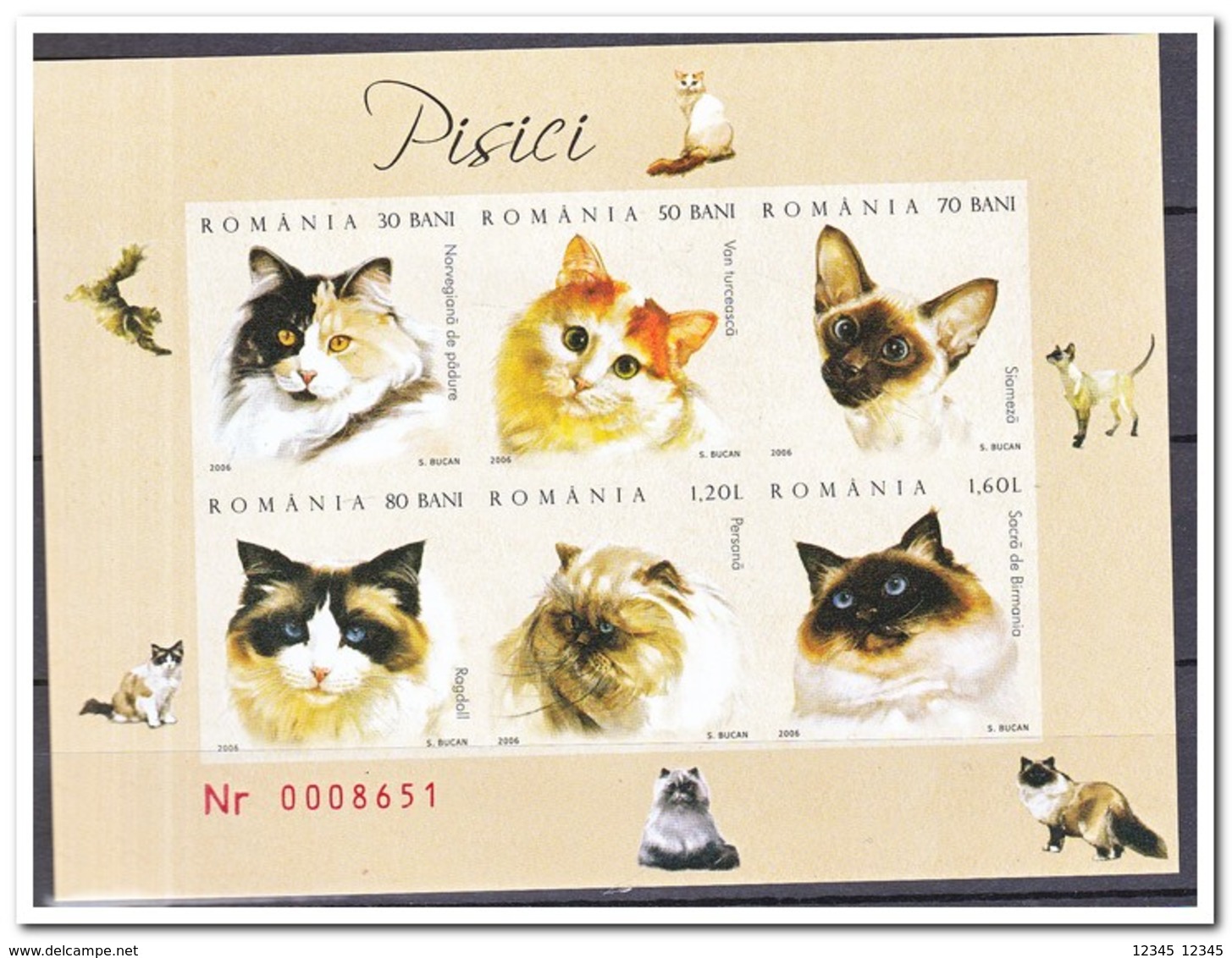 Roemenië 2006, Postfris MNH, Cats - Ongebruikt