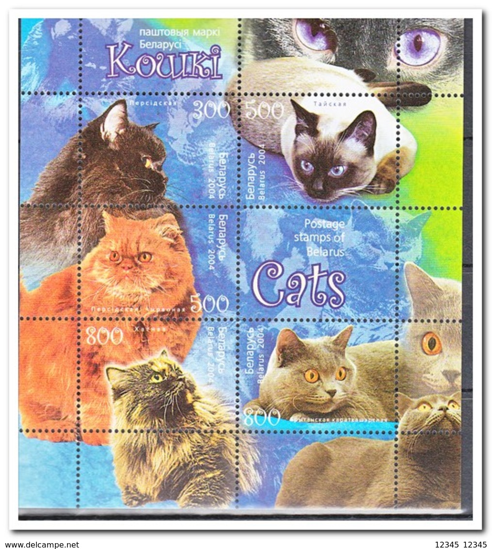 Wit Rusland 2004, Postfris MNH, Cats - Wit-Rusland
