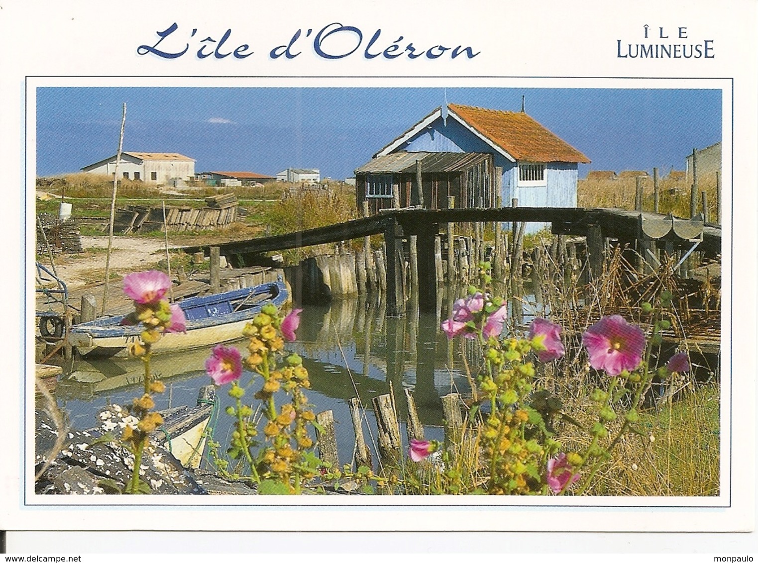 17. CPM. Charente Maritime. Ile D'Oléron. Cabanes D'ostréiculteurs - Ile D'Oléron