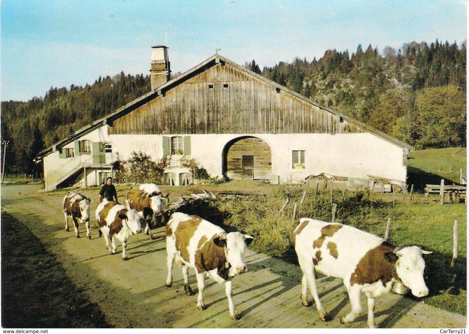 CPSM. FERME COMTOISE. VACHES. PHOTO STAINACRE. 1973. - Fermes