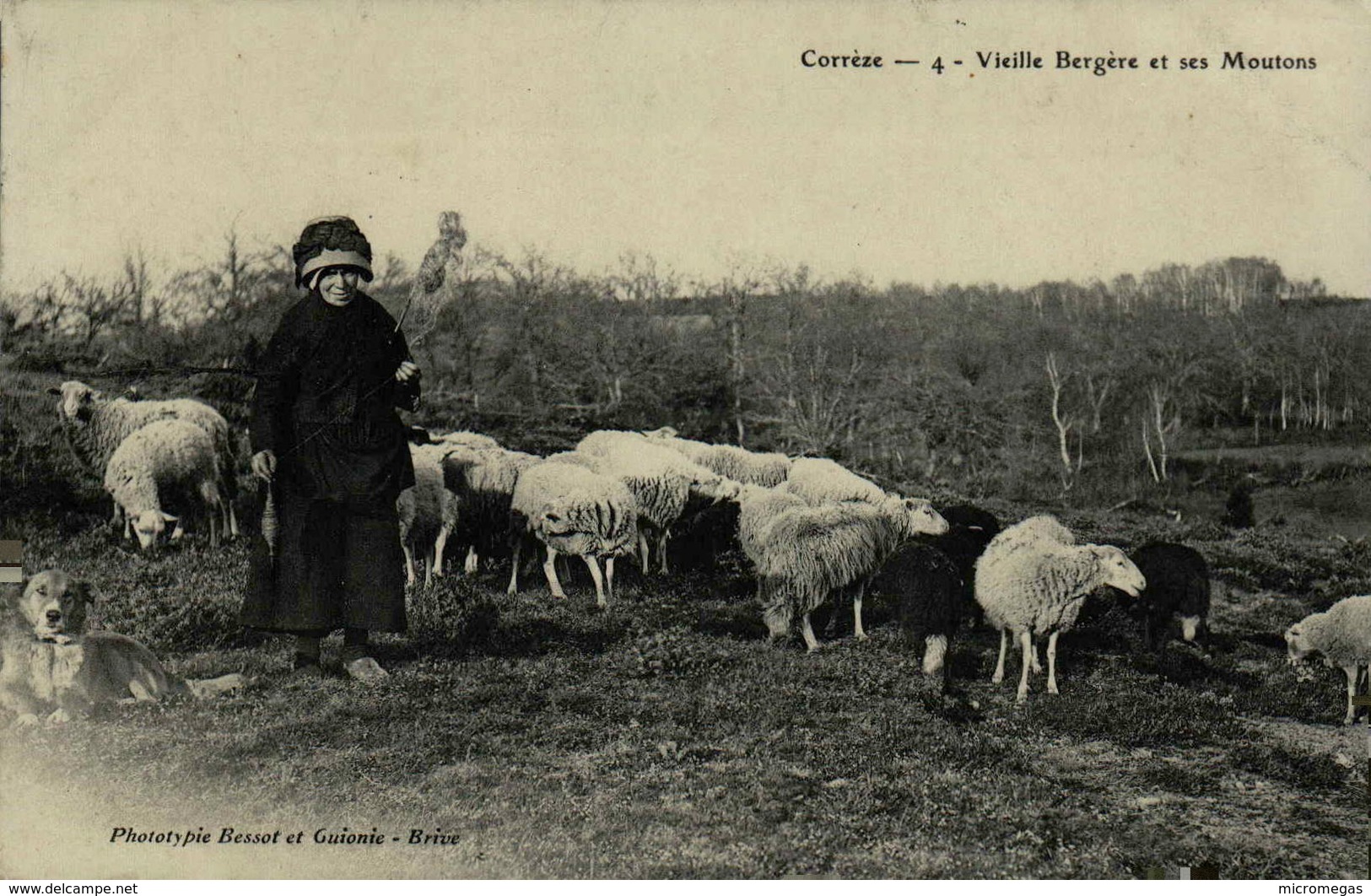 19 - Corrèze - Vieille Bergère Et Ses Moutons - Altri & Non Classificati
