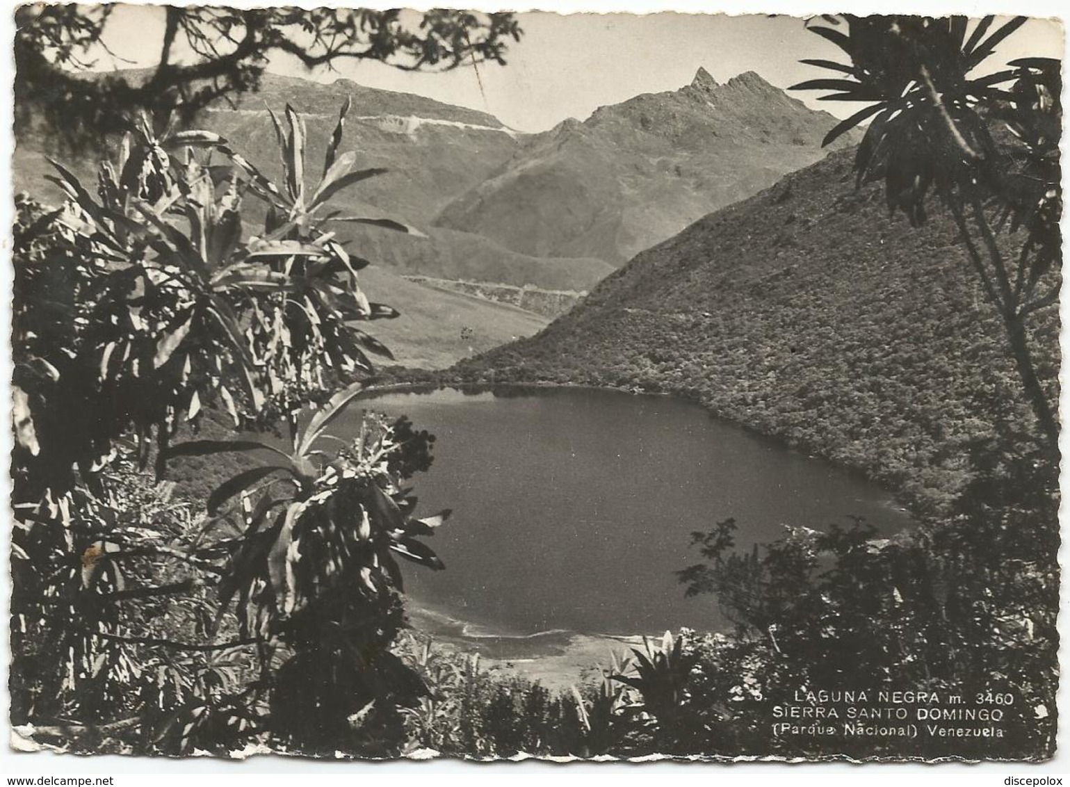 W1933 Venezuela - Sierra Santo Domingo - Laguna Negra / Viaggiata 1953 - Venezuela