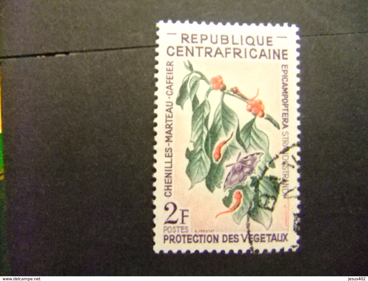 Republica Centroafricana 1965 Flores Yvert 55 FU - Central African Republic