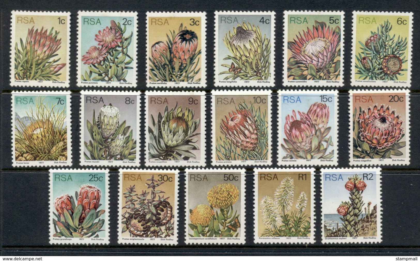 South Africa 1977 Protea & Succulents Perf 12.5 MLH - Unused Stamps