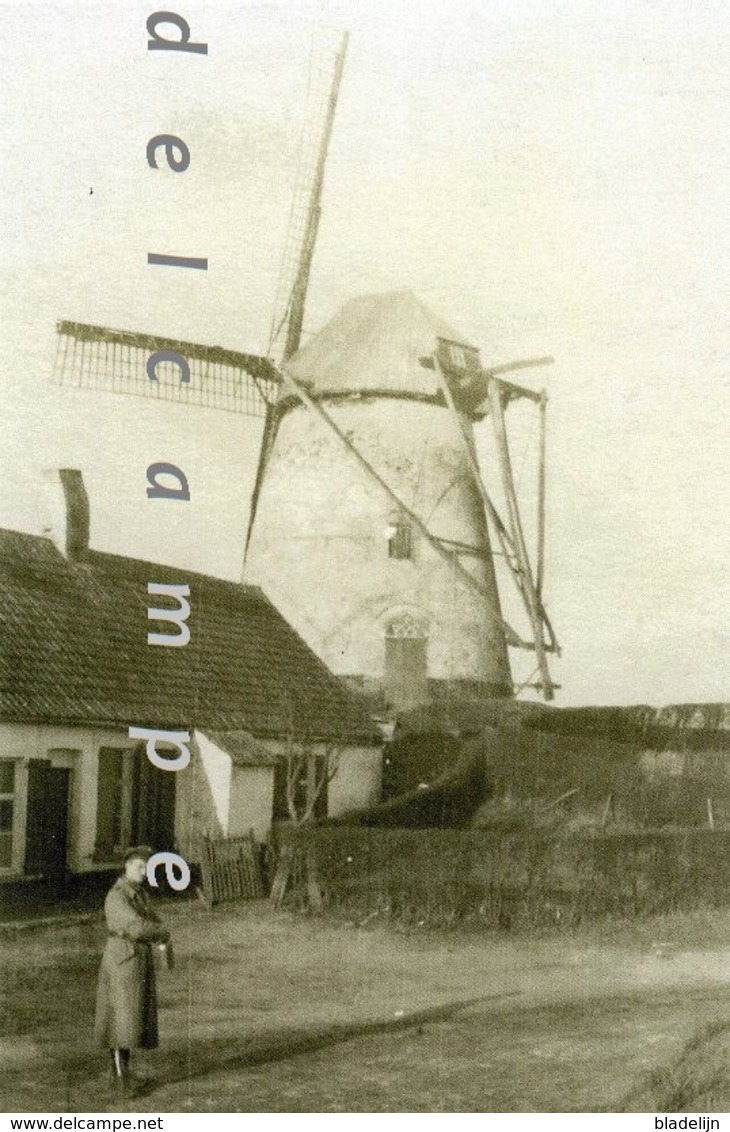 BEVERE - Oudenaarde (O.Vl.) - Molen/moulin - Mogelijk Enige Opname Van De Verdwenen Sprietmolen Tijdens 1914-1918 - Oudenaarde