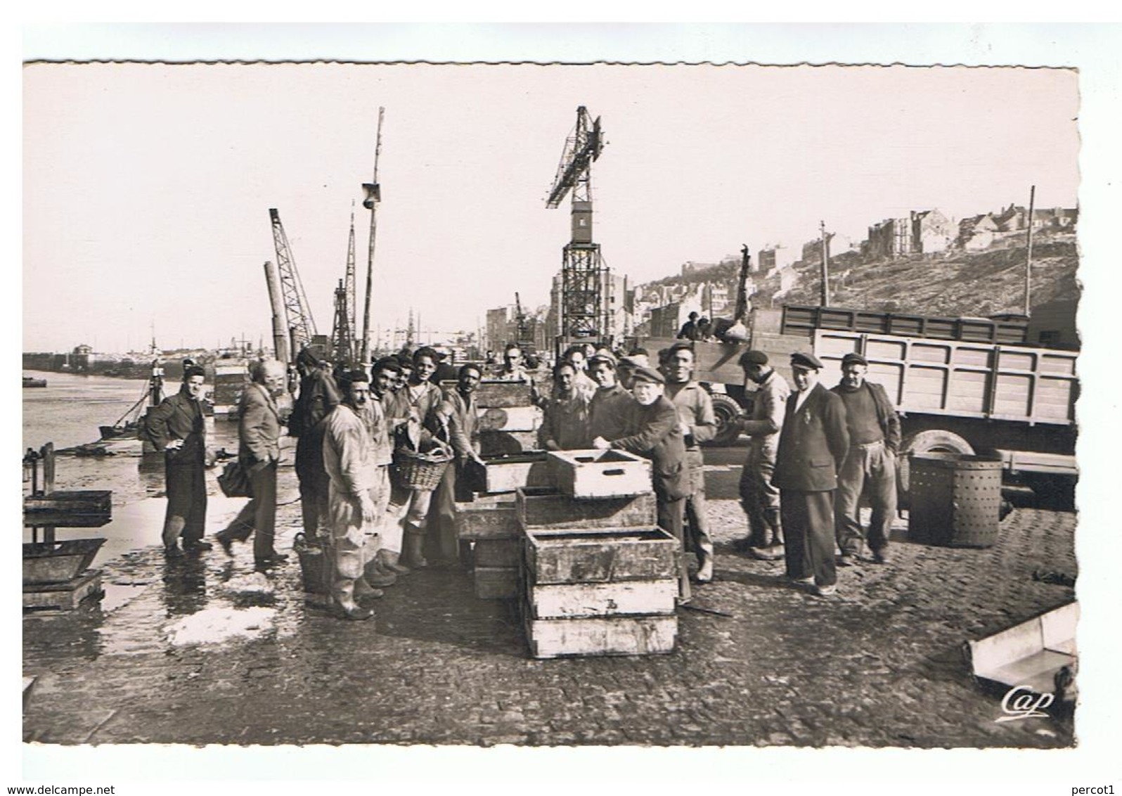 JM19.03 / CPSM / BOULOGNE-SUR-MER / DECHARGEMENT DU POISSON - Boulogne Sur Mer