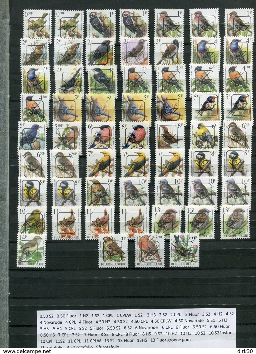 Belgie PREOS Precancels FULL SET All Papers & Gums RRR  Buzin Vogels Birds Oiseaux MNH - 1985-.. Oiseaux (Buzin)