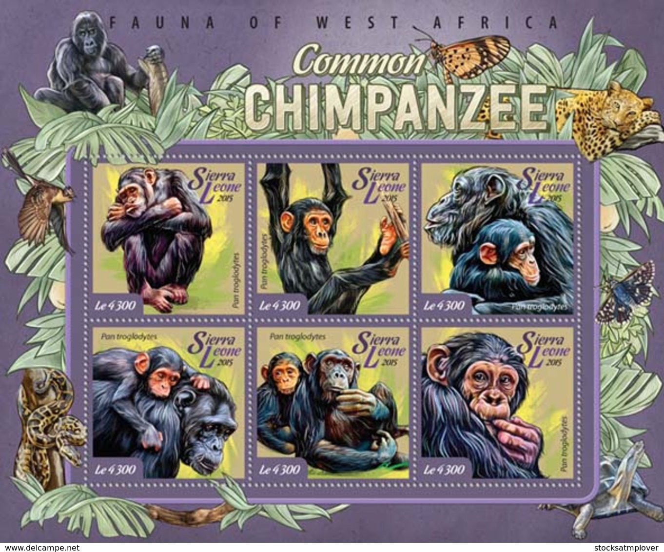 Sierra Leone   2015 Fauna  Common Chimpanzee - Sierra Leone (1961-...)