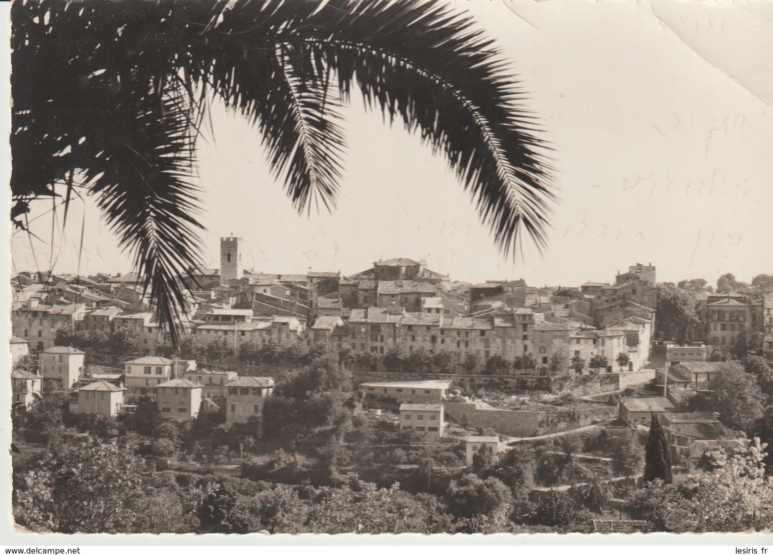 CP -   PHOTO - VENCE - VUE SUR LA VIEILLE VILLE ET SES REMPARTS - 88-19 - S. E. P. T. - Vence