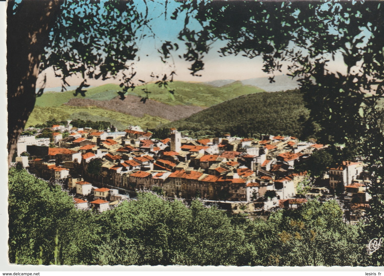 CP -   PHOTO - VENCE - VUE GÉNÉRALE - 19 - CAP - Vence