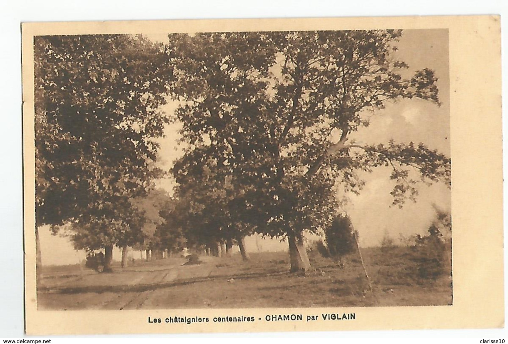 45  Chamon Par Viglain Les Chataigniers Centenaires - Arbres