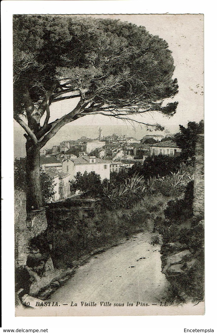 CPA - Carte Postale -FRANCE - Bastia- La Vieille Ville Sous Les Pins--  VM1525 - Bastia