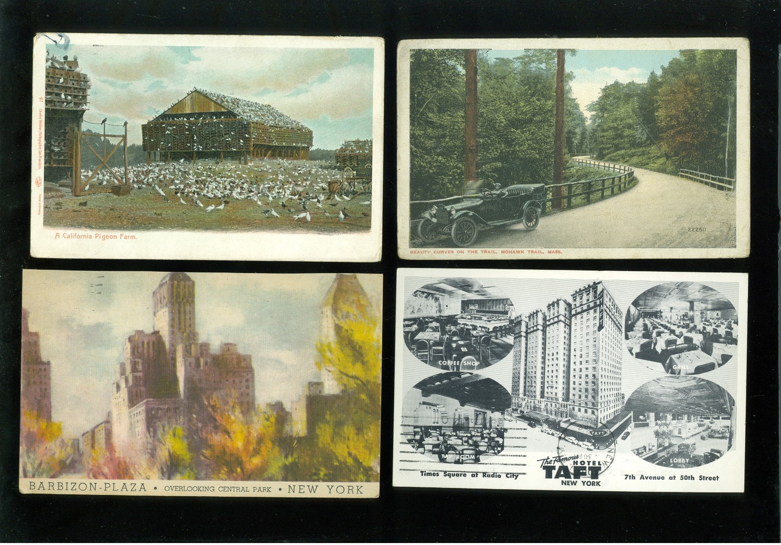 Beau lot de 60 cartes postales d' Amérique  America     Mooi lot van 60 postkaarten van Amerika - 60 scans