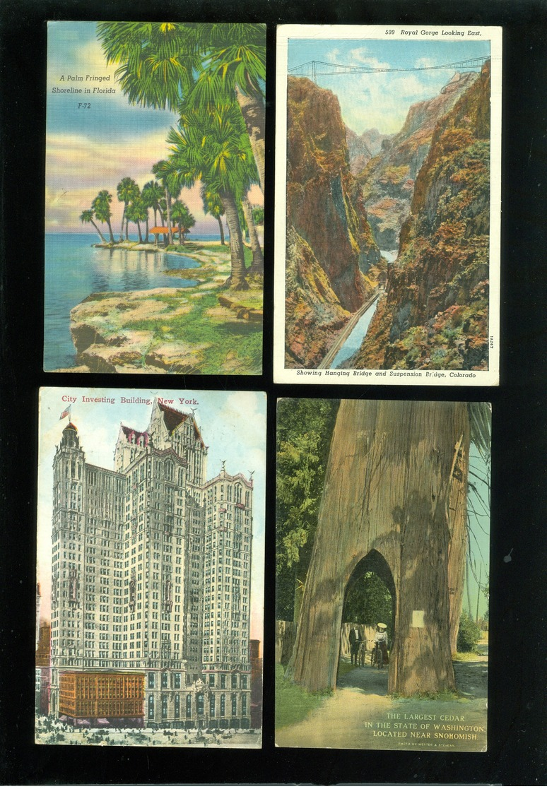 Beau lot de 60 cartes postales d' Amérique  America     Mooi lot van 60 postkaarten van Amerika - 60 scans