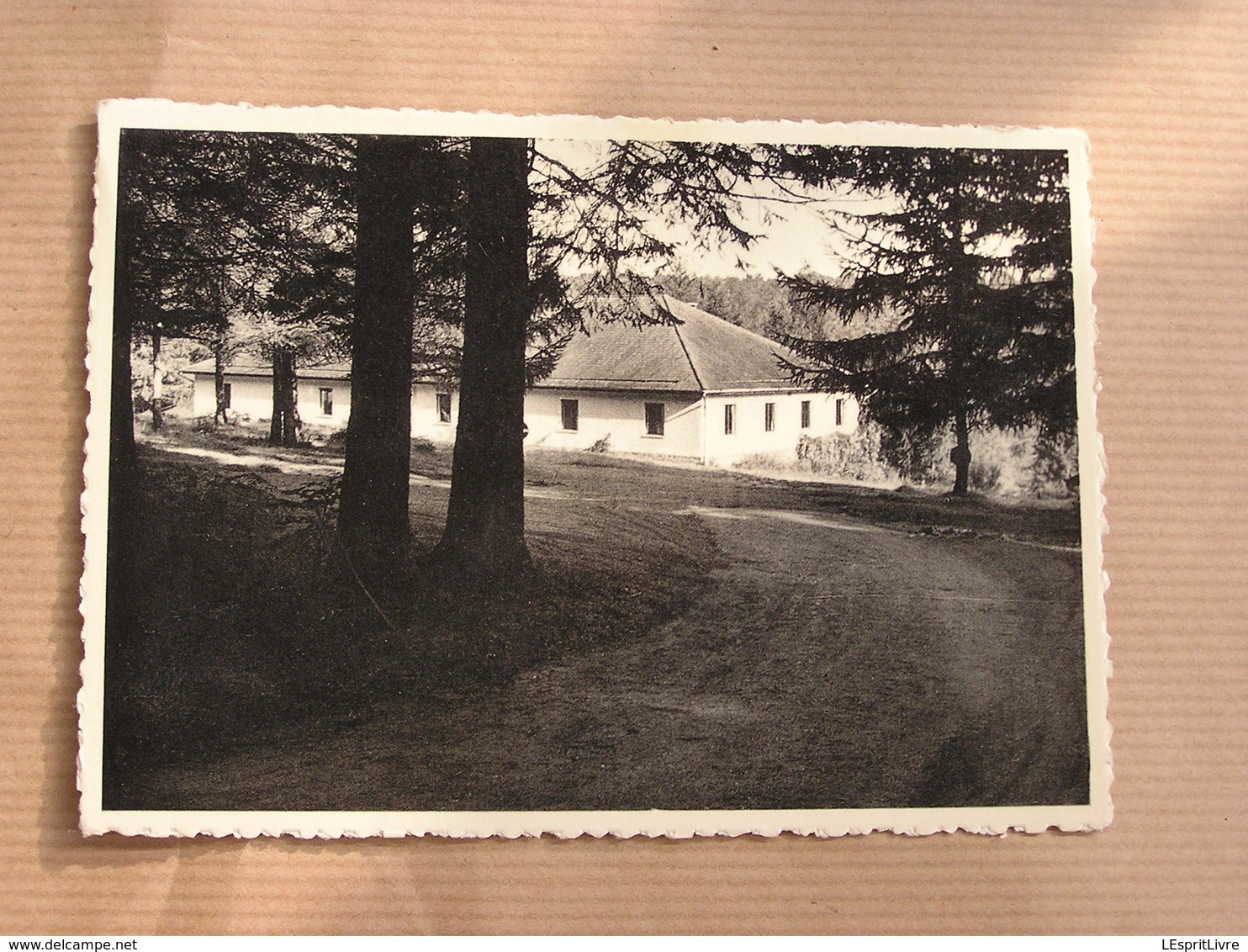 LOUETTE SAINT PIERRE Centre De Vacances Y.W.C.A. Commune De Gedinne België Belgique Carte Postale Postcard - Gedinne