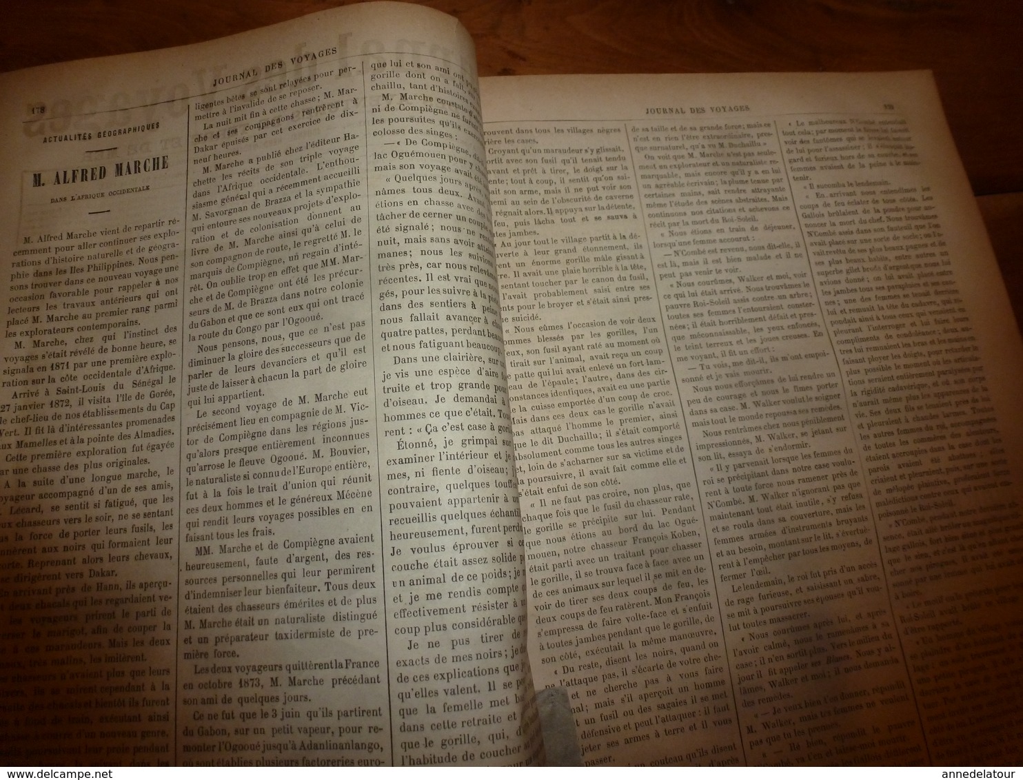 1883 JdV : Chasse éléphant Et Rhinocéros ; Etc - Revues Anciennes - Avant 1900