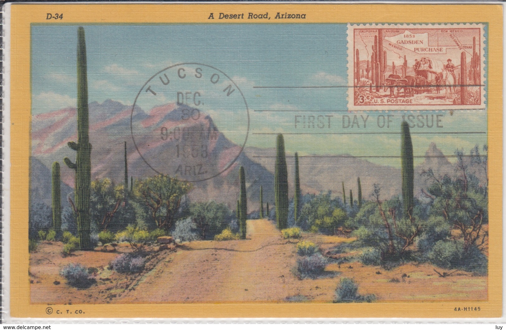 ARIZONA, A Desert Road,  FDC  1958 - American Roadside