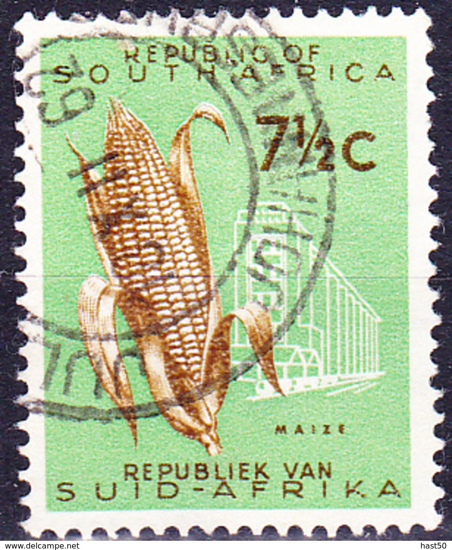 Südafrica RSA - Maiskolben (Zea Mays) (MiNr: 294) 1961 - Gest Used Obl - Used Stamps