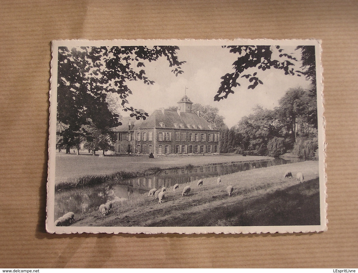 ECAUSSINNES D'ENGHIEN Château De La Follie Hainaut België Belgique Carte Postale Postcard - Ecaussinnes