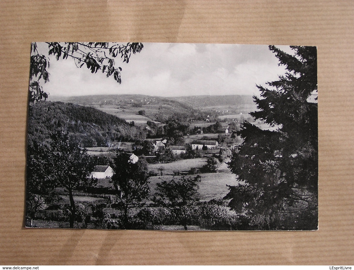 EREZEE Paysage Vers Estinée Ardenne  Province De Luxembourg België Belgique Carte Postale Postcard - Erezee