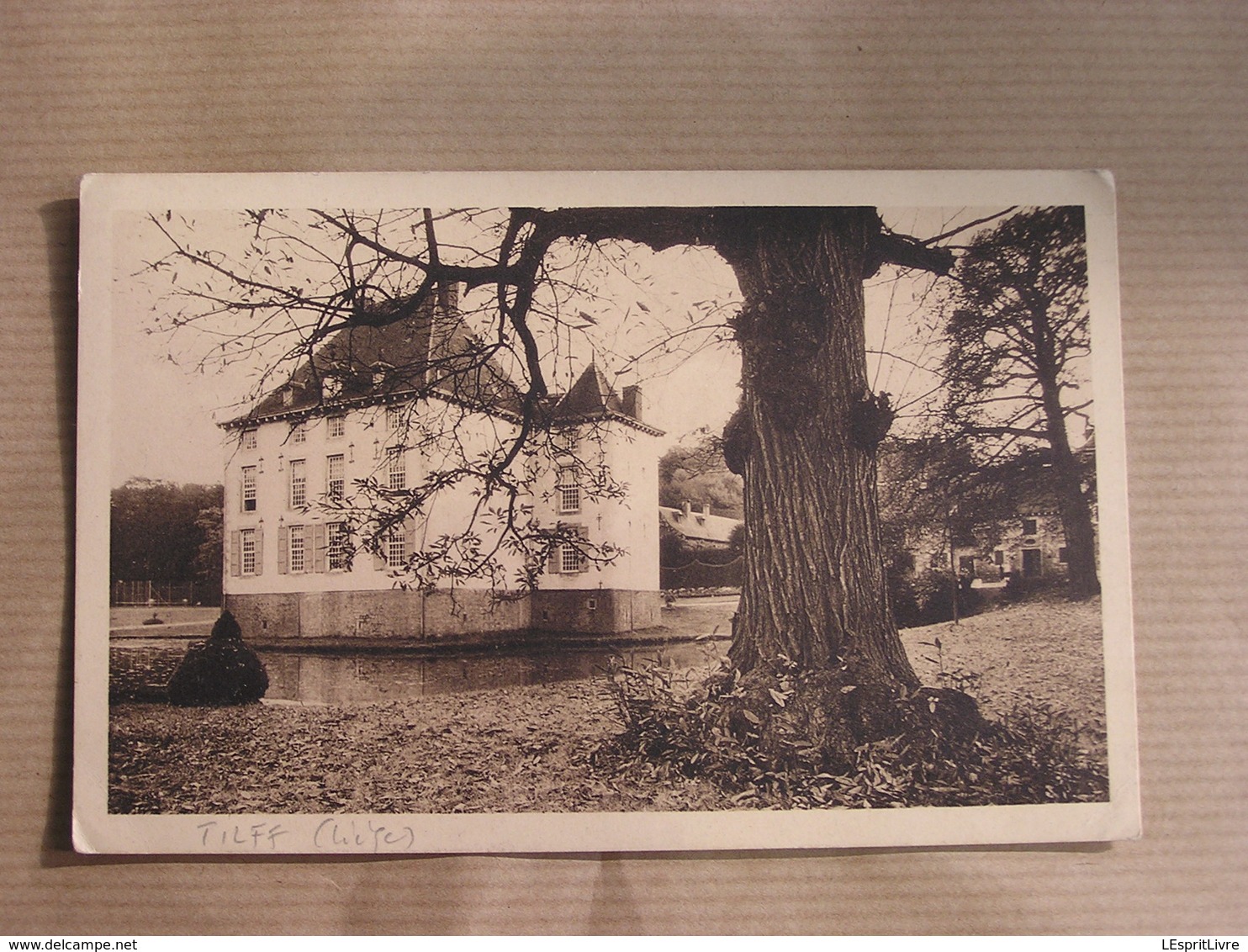 TILFF Château Et Parc  Province De Liège België Belgique Carte Postale Postcard - Esneux