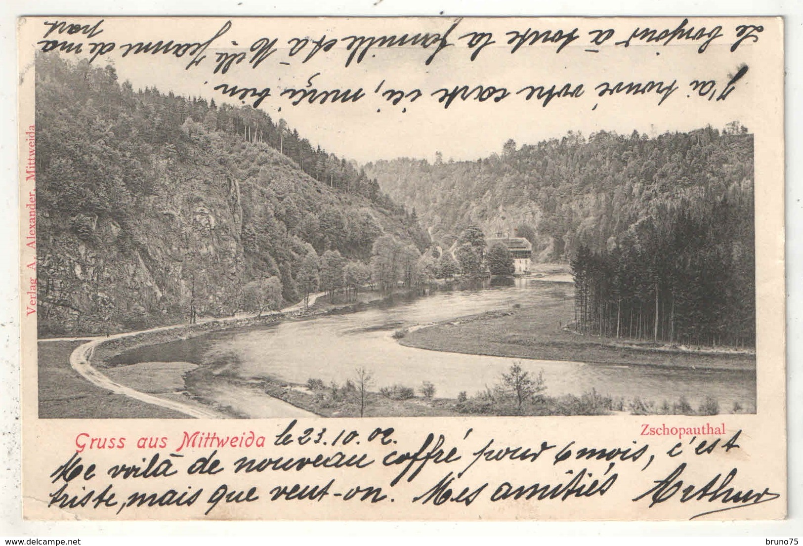 Gruss Aus MITTWEIDA - Zschopauthal - 1902 - Mittweida