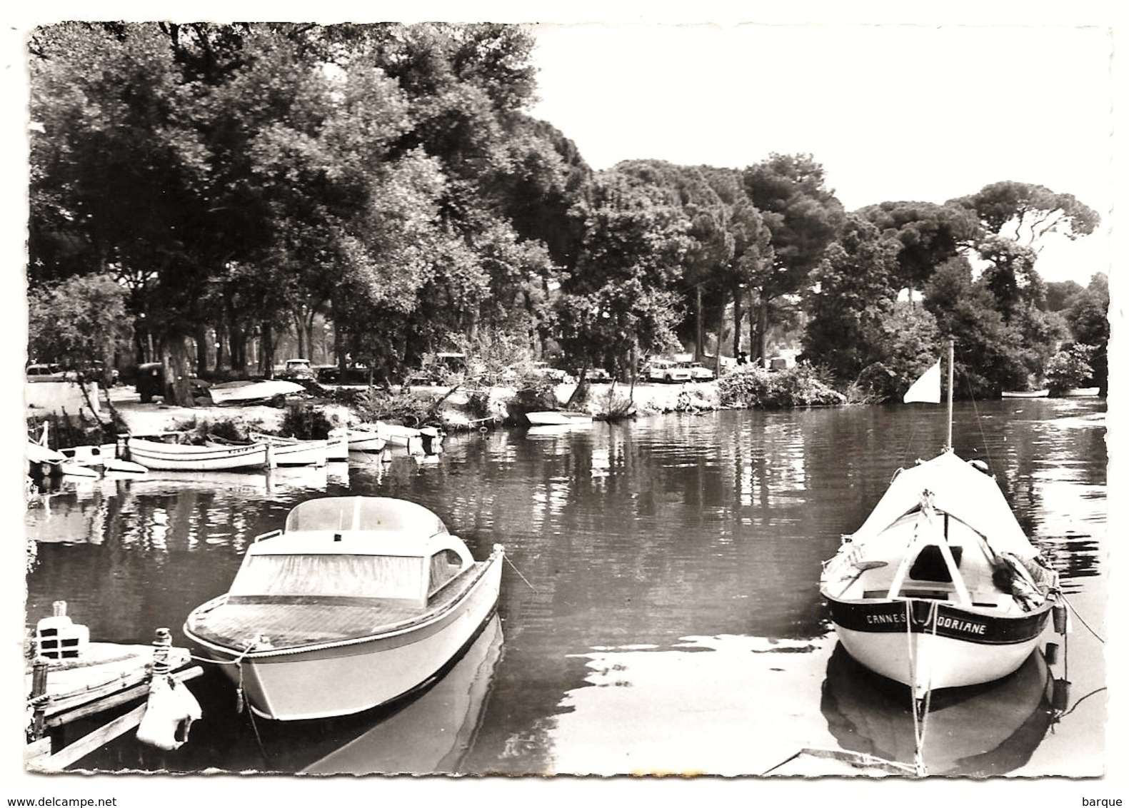 D 06 . CPSM +/-1960 .  MANDELIEU - LA NAPOULE - Port Sur La Siagne ( Legende Au Verso MAGAGNOSC ..) - Autres & Non Classés