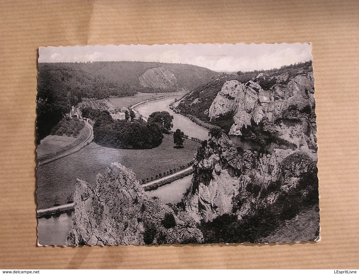 FREYR Les Rochers Château Commune De Hastière Vallée De La Meuse België Belgique Carte Postale Postcard - Hastière