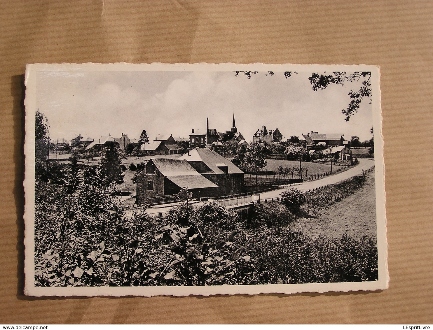 SELOIGNES Le Moulin Et Panorama Du Village Commune De Momignies Hainaut België Belgique Carte Postale Postcard - Momignies