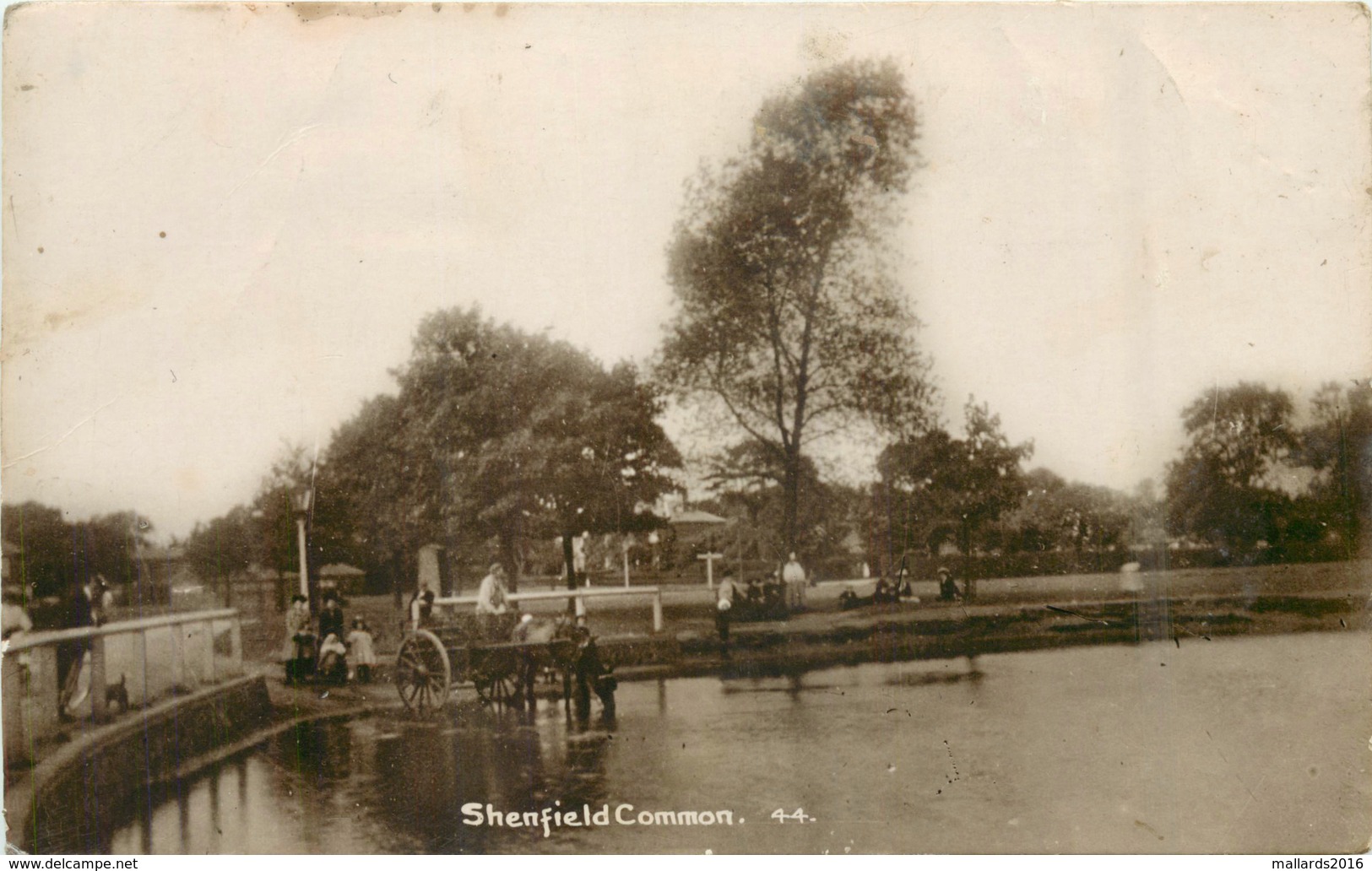 BRENTWOOD, SHENFIELD COMMON REAL PHOTO CARD #82216 - Autres & Non Classés