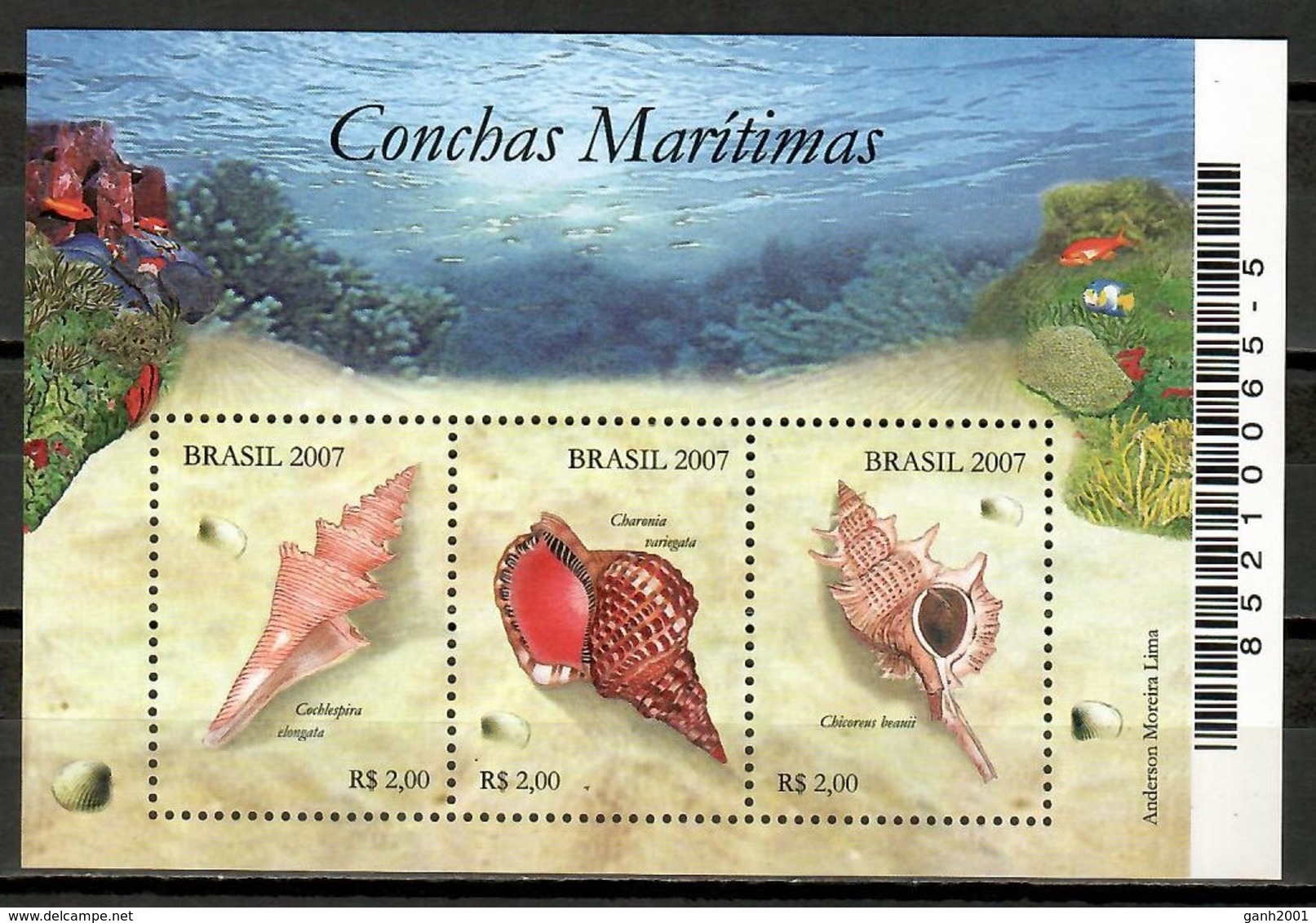Brazil 2007 Brasil / Shells MNH Caracolas Conchas Muscheln / Cu12007  41-15 - Conchas