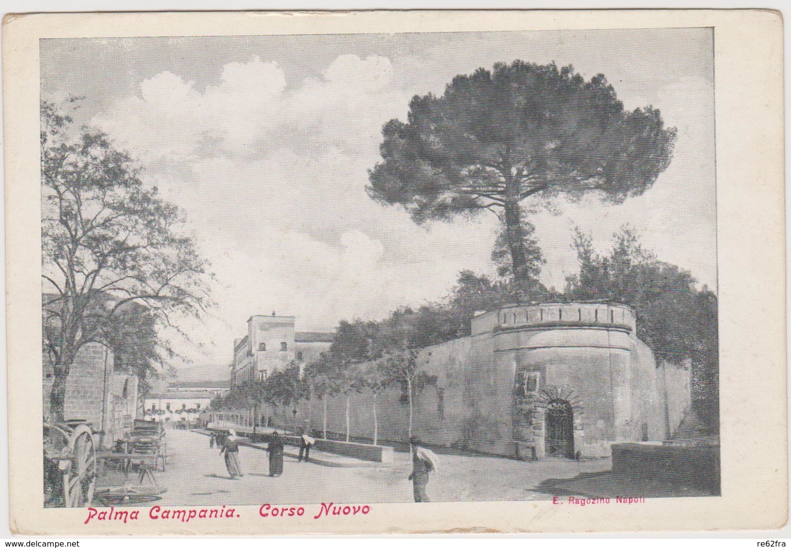 PALMA CAMPANIA (NA), Corso Nuovo,  Ediz. Ragozino  - F.p. - Fine '1800 - Napoli