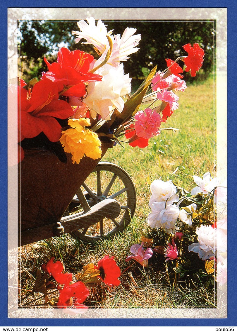 CPSM (Fleurs,Plantes& Arbres )Fleurs -Une Brouette Remplie De Fleurs - Fleurs