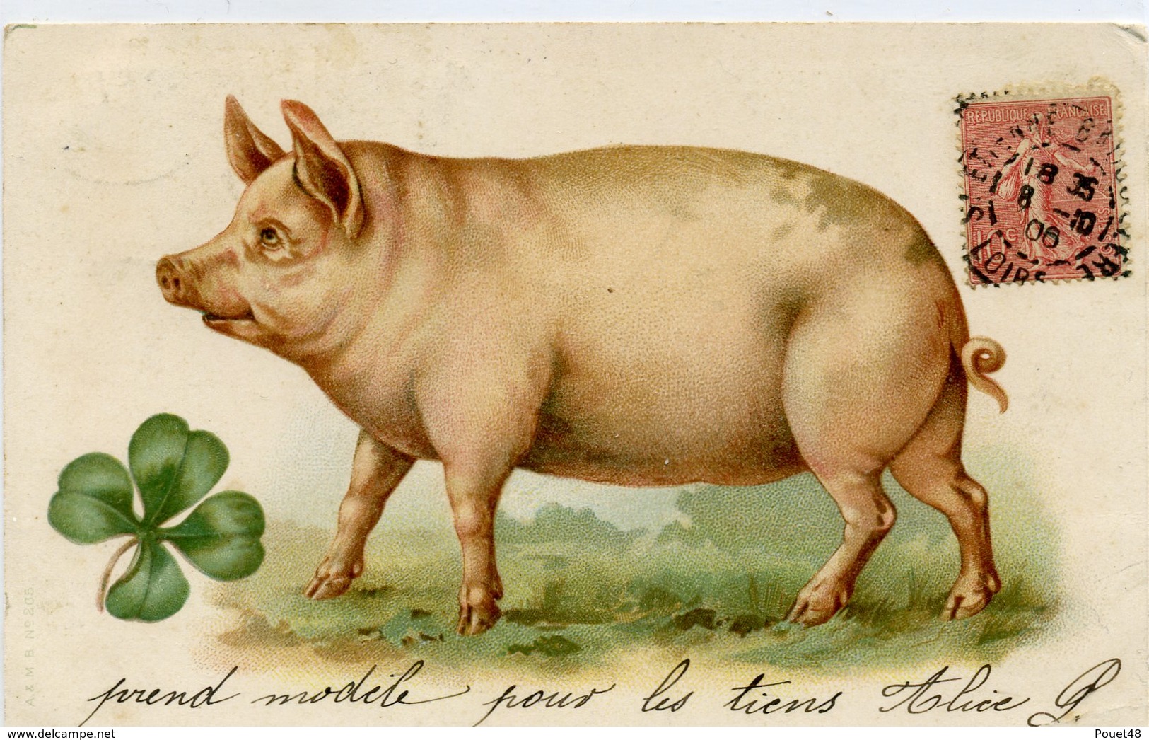 COCHON Avec Trèfle à 4 Feuille - Dos Simple - - Cochons