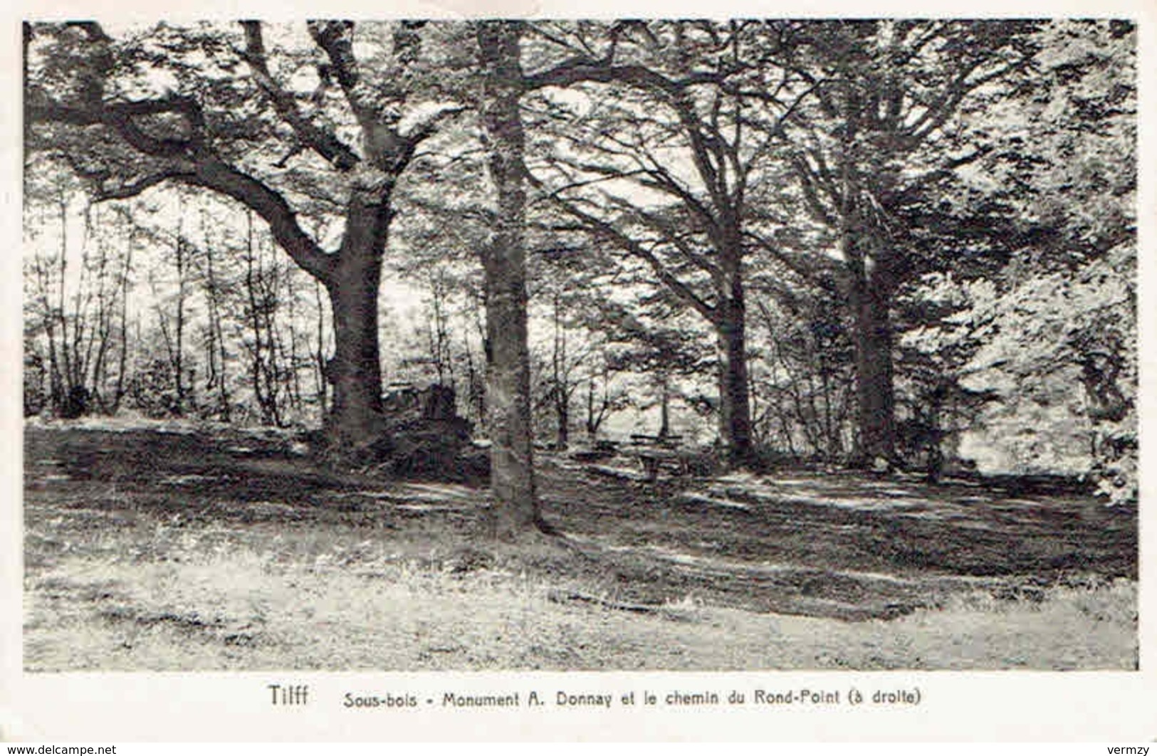 CPA  TILFF : Sous-Bois - Monument A. Donnay Et Le Chemin Du Rond-Point - Esneux