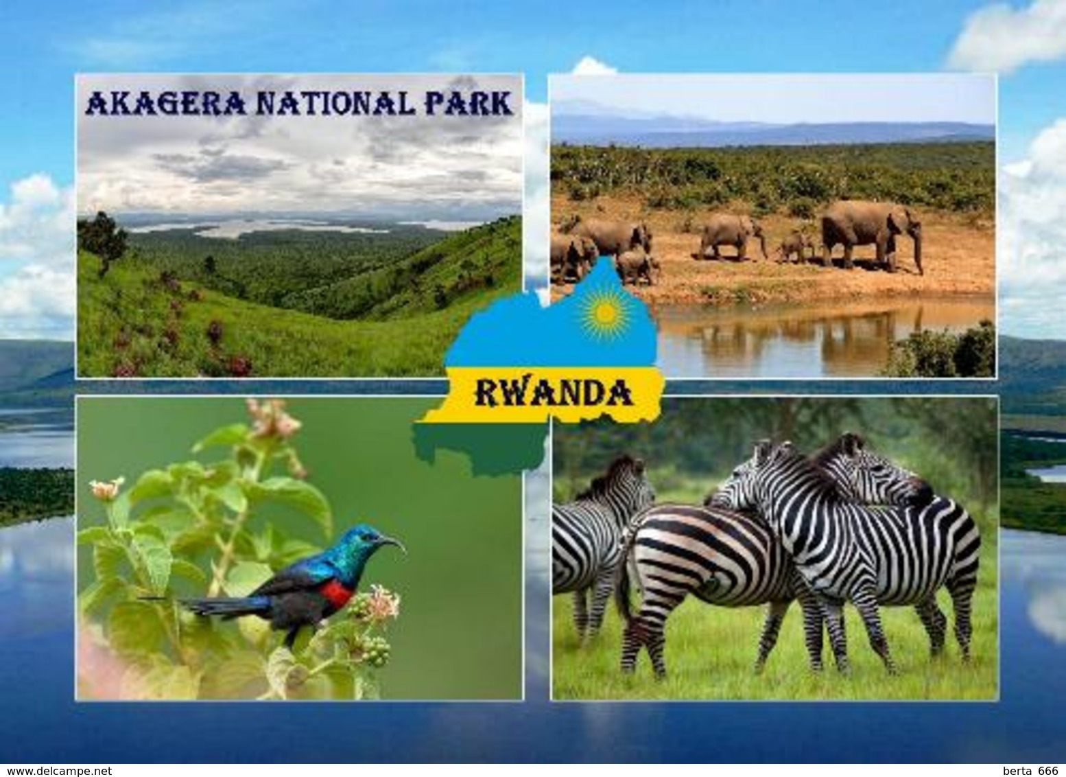 Rwanda Akagera National Park New Postcard Ruanda AK - Ruanda