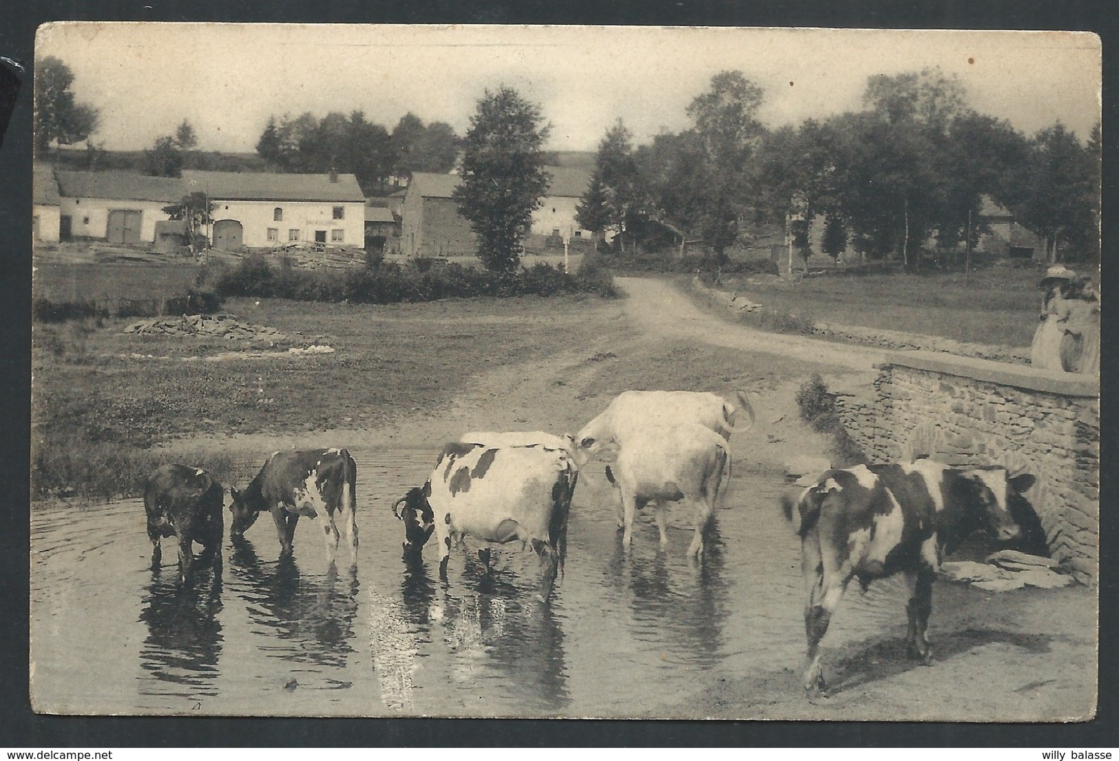 +++ CPA  - HOUFFALIZE - 1907 - Bétail  // - Houffalize