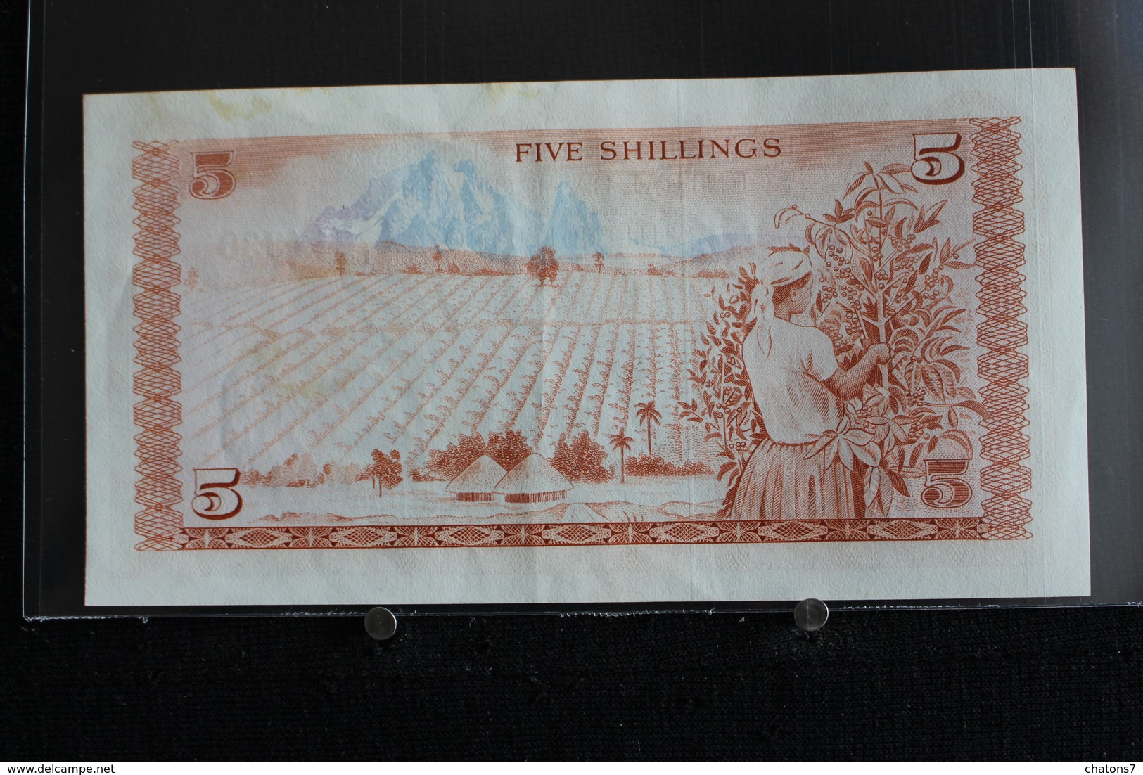 M-An / Billet  -  Kenya, 5 Shillings  / Année 1978 - Kenya