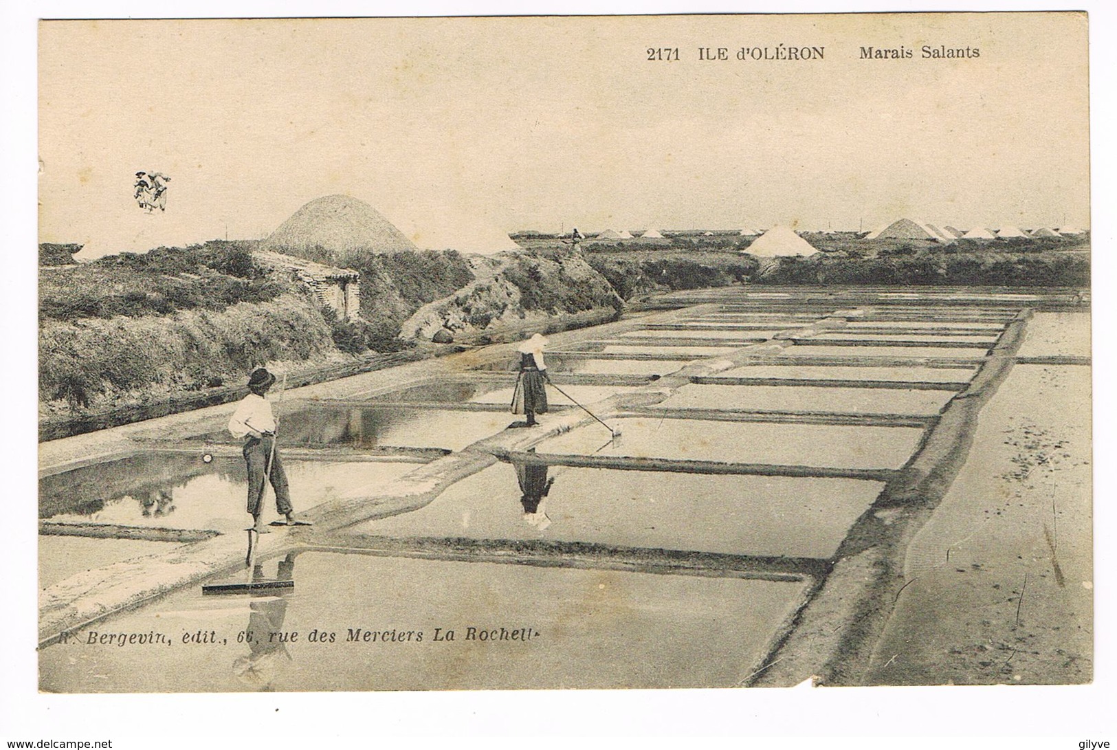 CPA.Ile D'Oléron. Marais Salants .   (F.431) - Ile D'Oléron