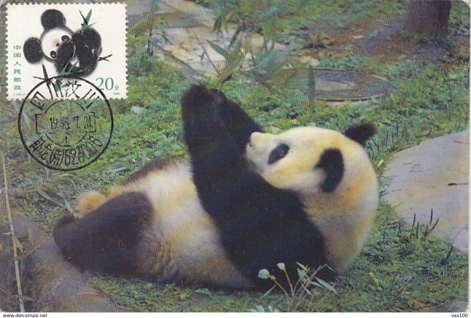 ANIMALS, MAMMALS, PANDA BEARS, CM,MAXICARD, CARTES MAXIMUM, 1995, CHINA - Bears
