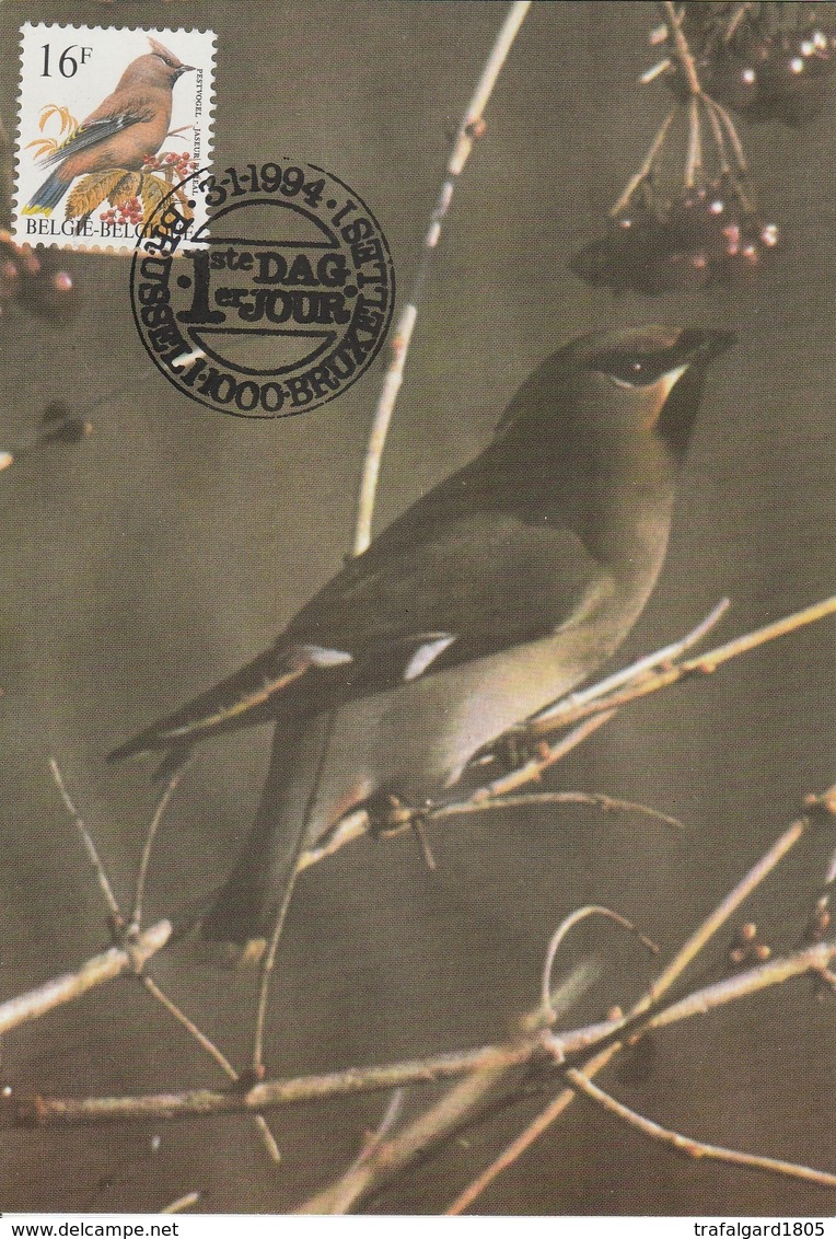 1007. BUZIN  LE JASEUR BOREAL - 1985-.. Vogels (Buzin)